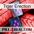 Tiger Erection 37